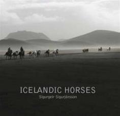 Icelandic Horses photographs
